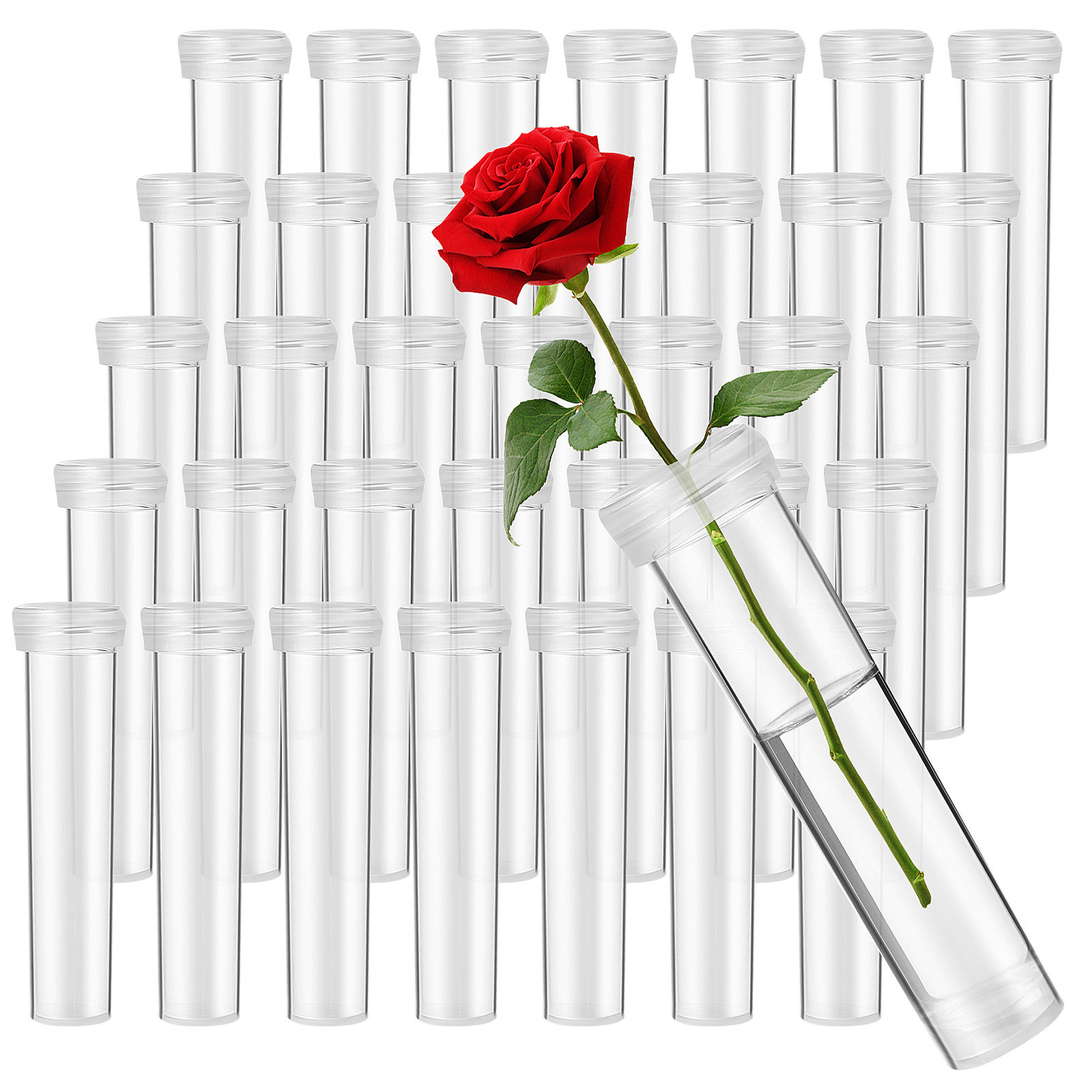100 Stück Blumen-Wasserröhrche – The Florist Supply Bewertung und Preis