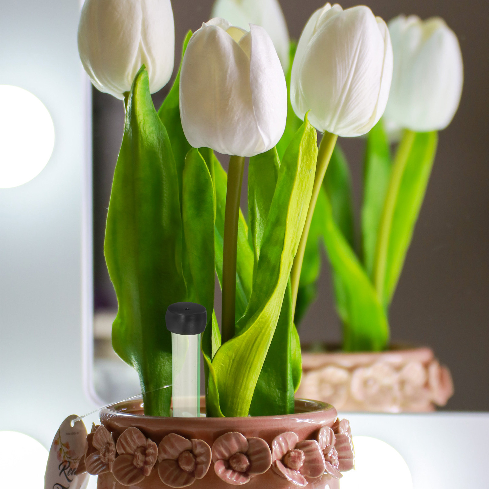 50 Stück florale Wasserröhrche – The Florist Supply Bewertung und Preis