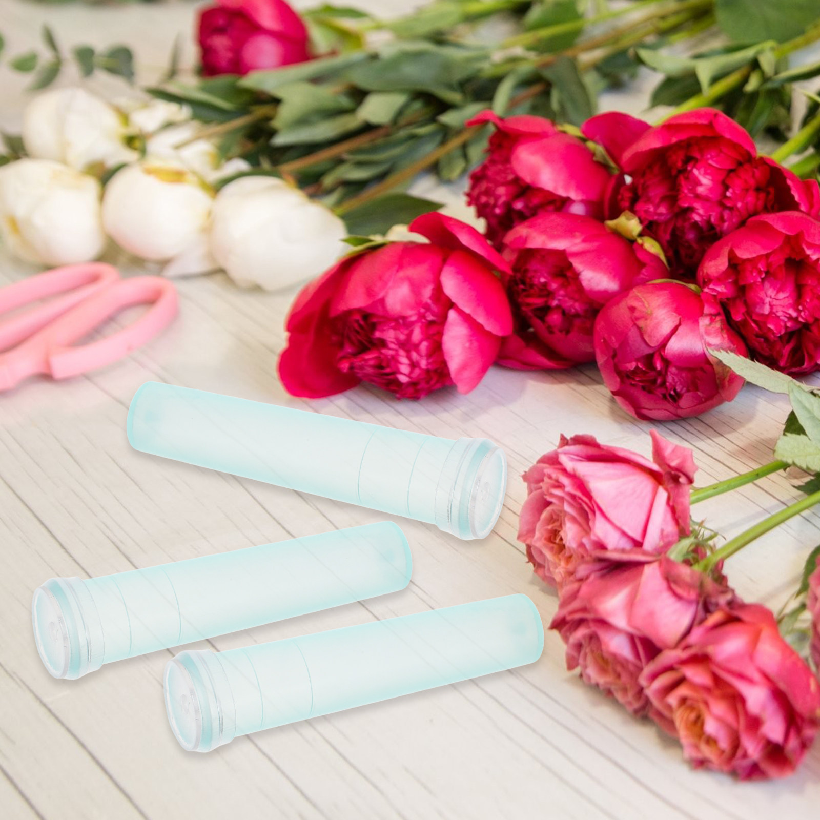 100 Stück Blumenkonservierungs – The Florist Supply Bewertung und Preis
